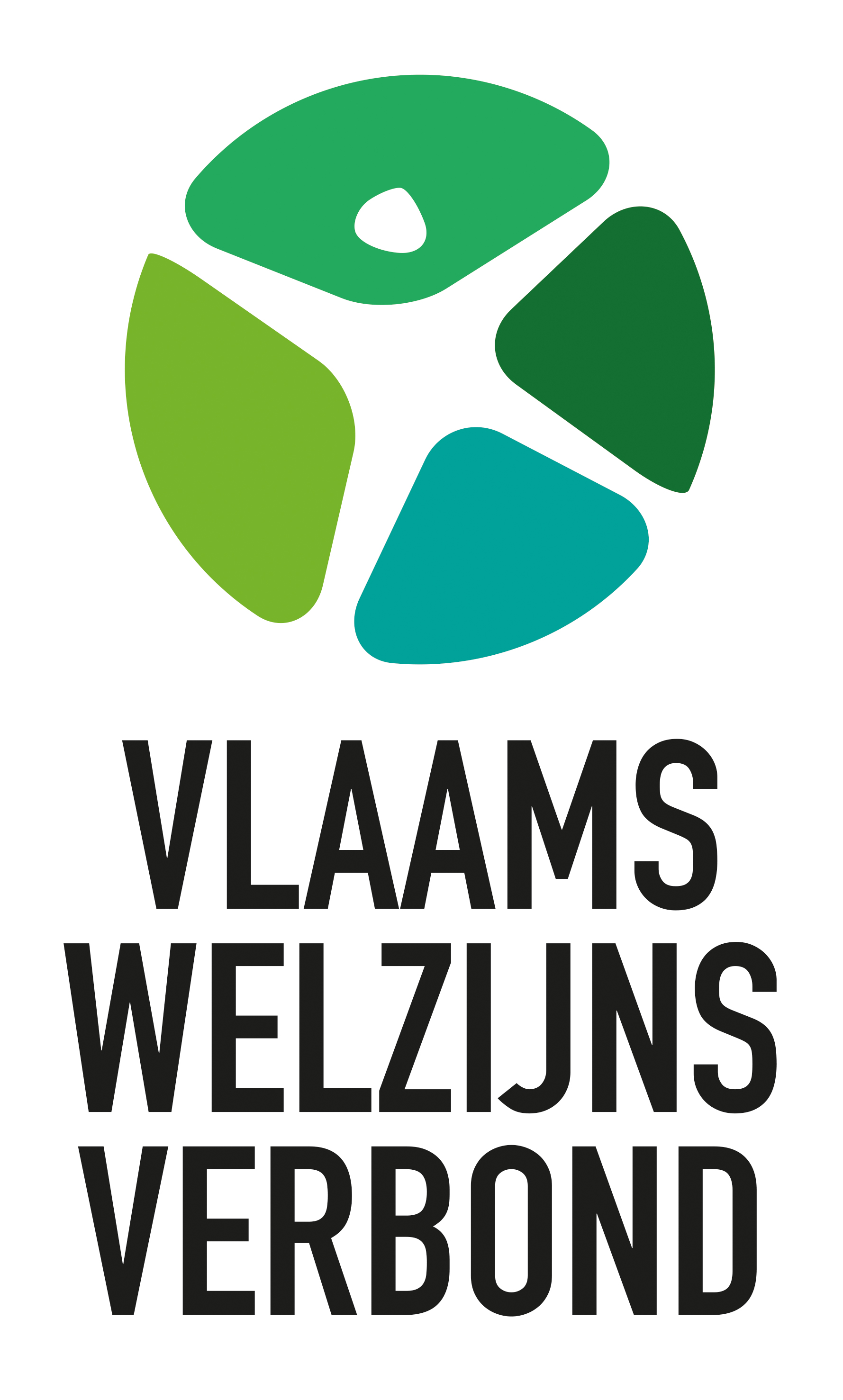 Vlaams Welzijnsverbond